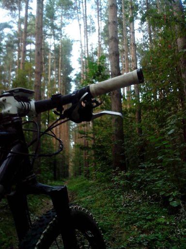 Тракторок на прогулке.