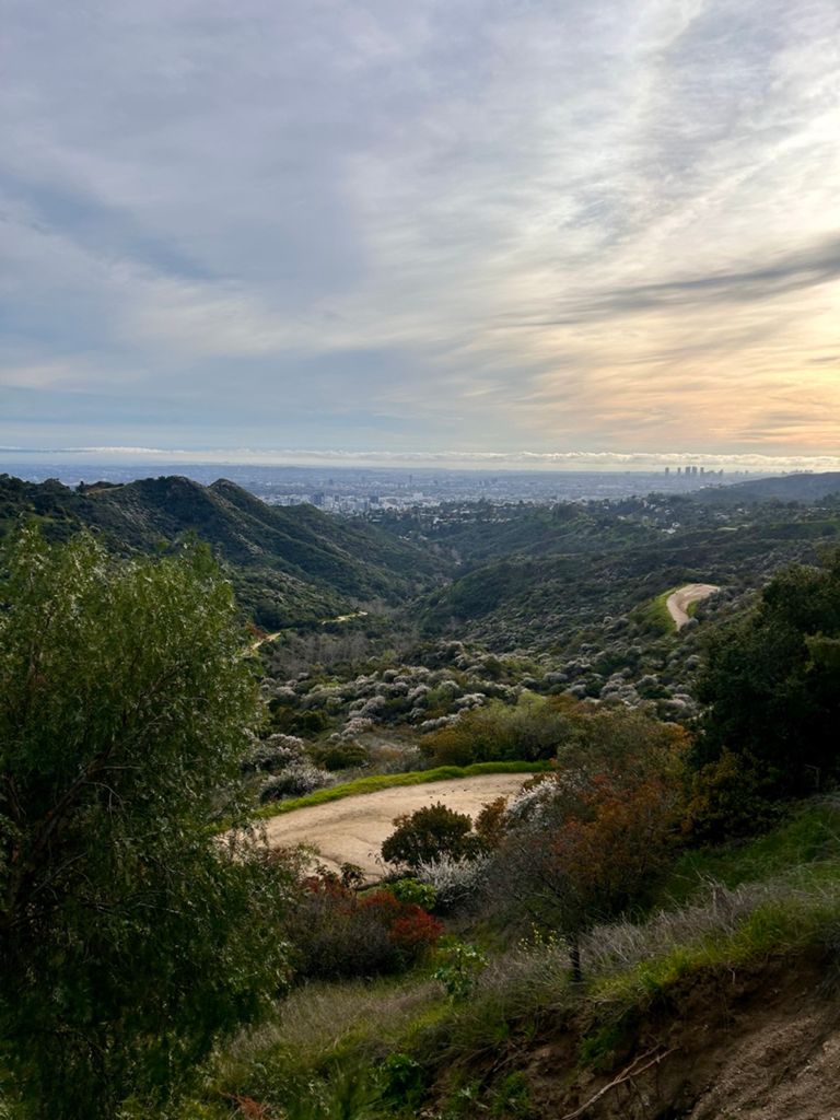 NBB run - Lake Hollywood photo 55