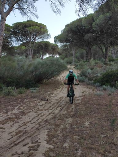 Bajada arenas torre chapa
