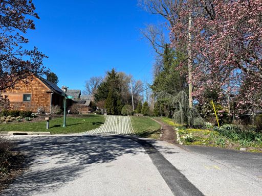 A little path I rode down.
