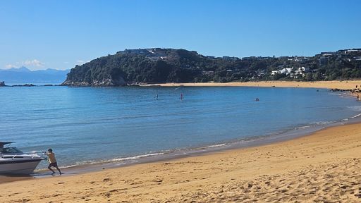 The beach at Kaiteriteri. A bit quieter this year?
