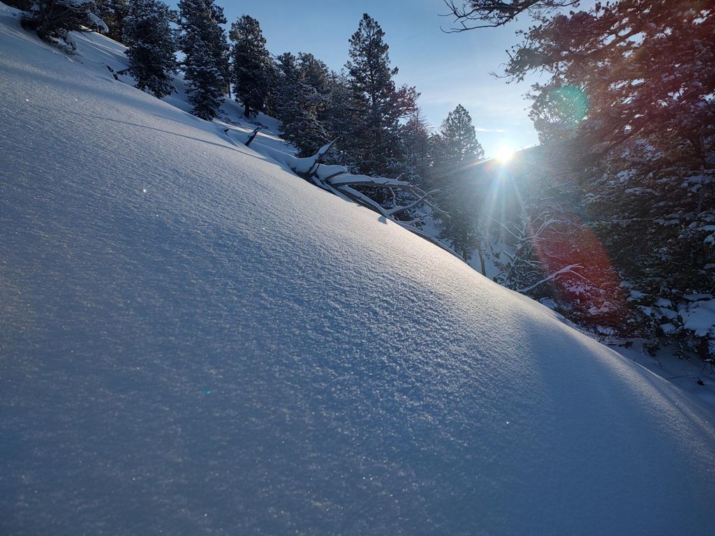 Double-click to expand Taylor | Jackson Hole — photo 5