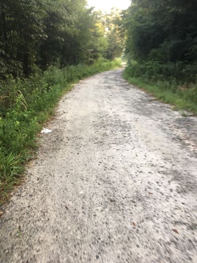 Didn’t plan on this - .75 section of gravel.  Def sketch running latex and Corsa Speed’s on the rear.