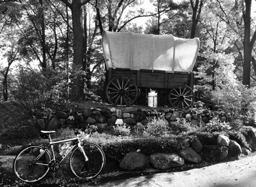 Never know what I'll see when I head west