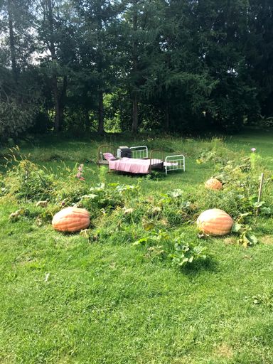 Zero clue what this could be about.