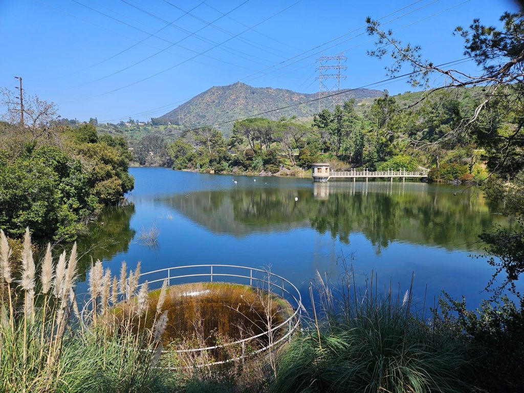 NBB run - Lake Hollywood photo 87