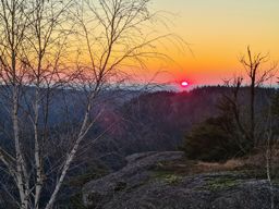 Sortie à vélo l’après-midi