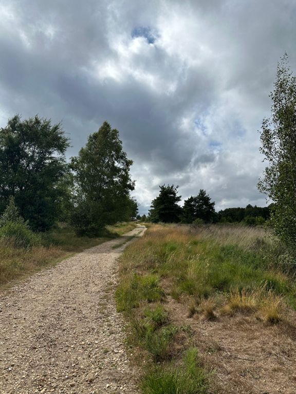 route-highlight