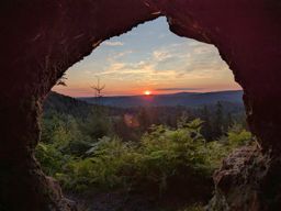 La dentelle des fées
