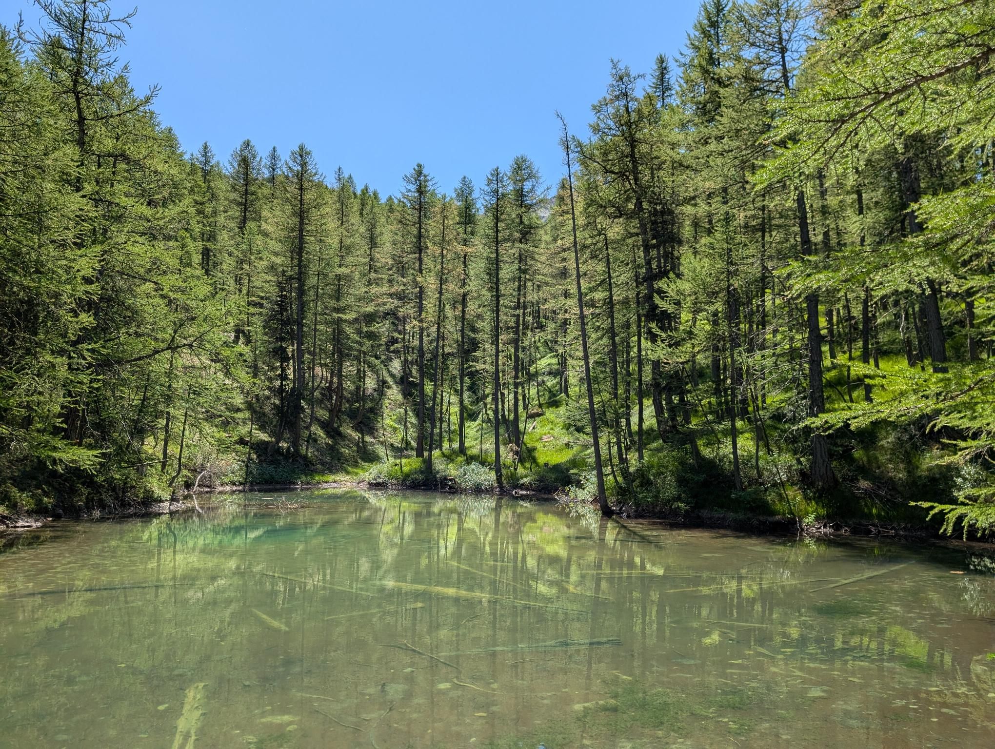 GR58 - Day 5 photo 8