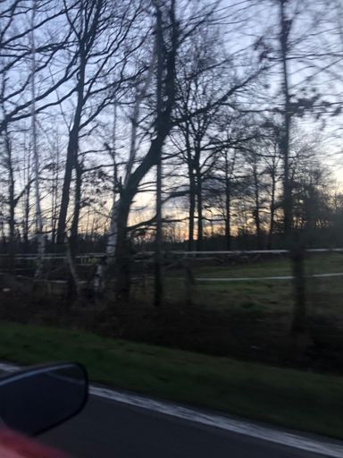 Kurz nach Sonnenaufgang soll der Regen kommen... hat aber gepasst!