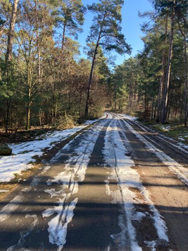 Wie auch immer sich noch Schnee halten kann bei den Temperaturen 🧐.