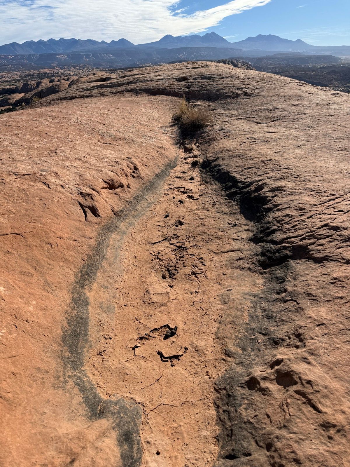 Try harder dog owners 💩