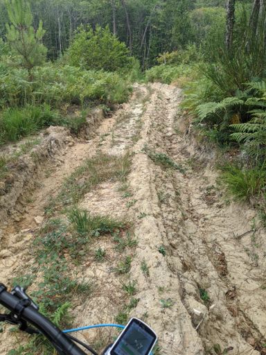 Ornière land by Exploitation forestière