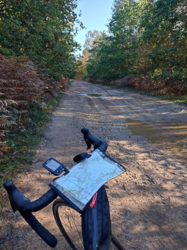 Light off-roading in Thetford forest