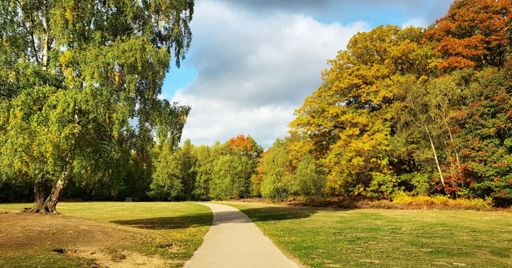 Virginia Water looks 🤩 this time of year