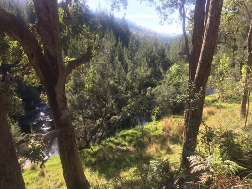 Looking N/E down river along the upper stretch of the old Grafton-Glen Innes Road