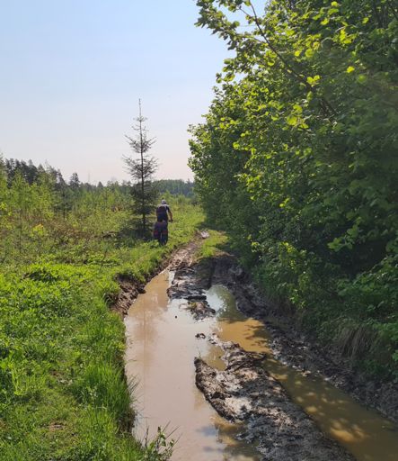 Здоровье - Чуприяновка.