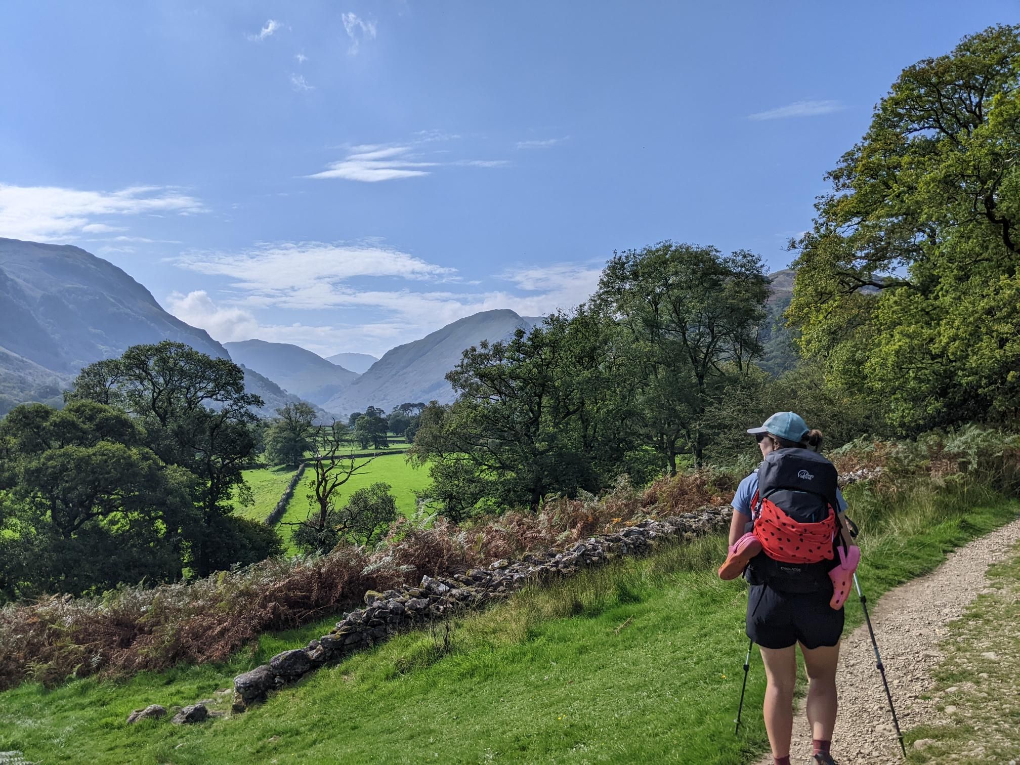 Another wild camp! photo 6