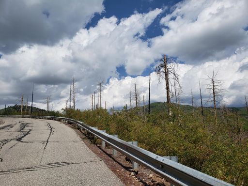 Riding up to Paj, watching the clouds build