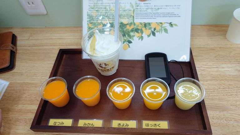 カンキツ4種飲み比べ+サービスの一杯と瀬戸田レモンスムージーを注文♪