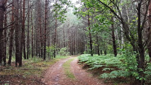 Веретье – Орехово.