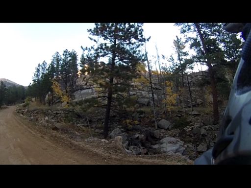 It was a lot of fun to see quaking aspen again.