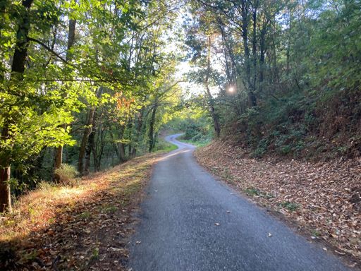 Belle petite route tranquille !