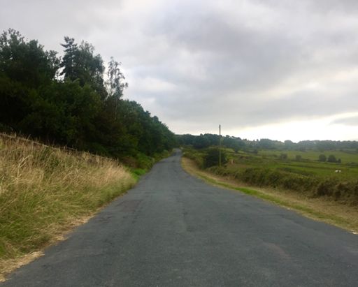 I’m in Sheffield for a few nights, for a family wedding, and I was able to sneak the bike into the back of the car.

I headed out for just over 20miles this evening, after we had checked in at the hotel, and I have now come to the conclusion that Sheffield is really hilly and I’m also really lucky to live in Carlisle; it is so much easier to get out of the city when compared to Sheffield.

I’ll be making use of the @100climbs app to hunt out the best climbs in the area, the @Strava routes feature to plot routes from the hotel and the @wahoofitnessofficial to direct me whilst on the road.

I plan an early start tomorrow, before the hotel starts serving breakfast, to get out into the Peak District.
.
.
.
.
#FamilyWedding #Sheffield #Carlisle #Yorkshire #CyclingClimbs #Hills #MiniBreak #PeakDistrict #NationalPark #JenkinRoad @lussobike #BrandAmbassador #MadeInManchester #CyclingKit #RideWithStyle #OutsideIsFree #ActiveTravel #FromWhereIRide #RoadsLikeThese #RideBikes #LanesNotLaps #LifeBehindBars #CyclingLife #BikeIsBest #CyclingAddict #CyclistsOfInstagram #BeardedCyclist @wahoofitnessofficial #Wahooligan #CyclingSelfie #SelfieGameStrong @swfcofficial #SheffieldWednesday