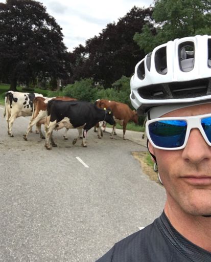 De dames steken over....geen haast...