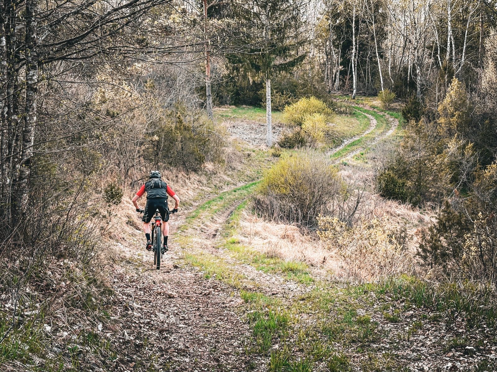 Ride Image 7