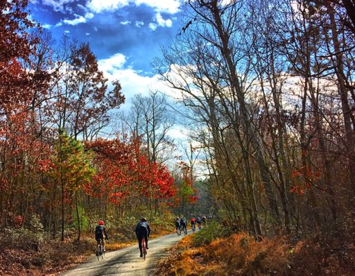 Gravel and colors. Perfect match.