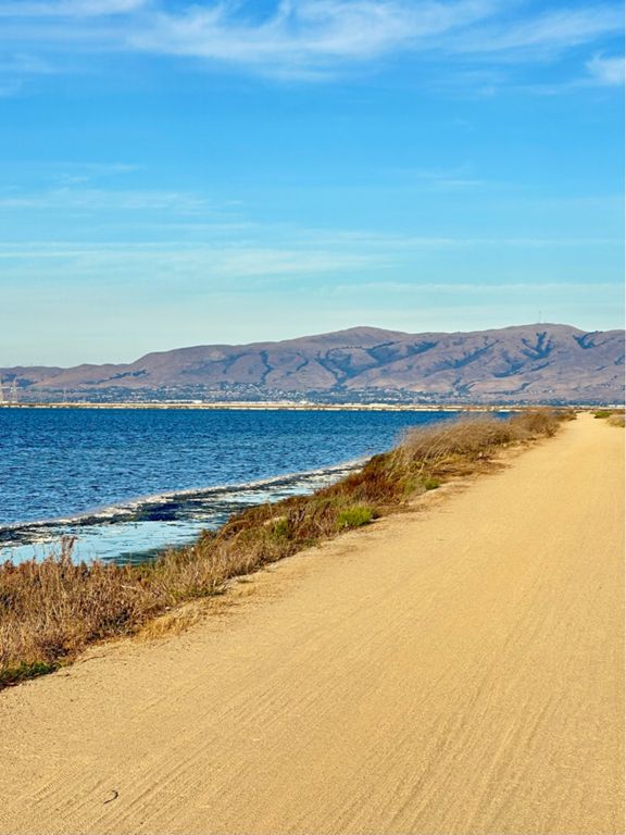 San Francisco Bay Trail Sunnyvale to Sand Point 9.9 mi Trail Running