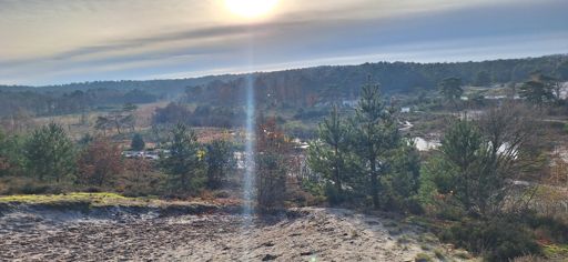 Zonnestraal op de heide mooi toch?