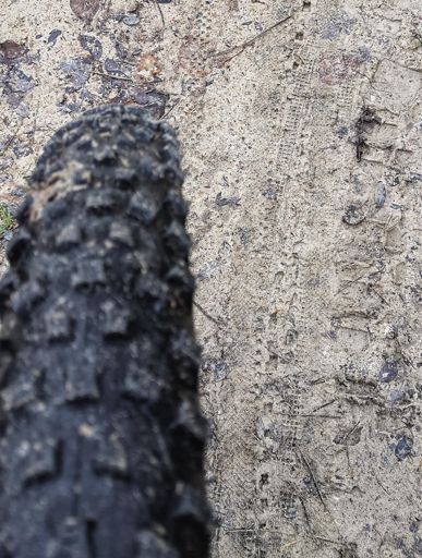 Hier war doch der Rainer mit seinen Jungs! 😀