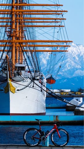 🆕iPhone   8倍でも十分綺麗