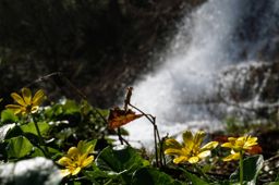 Course à pied le midi