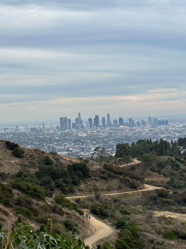 NBB run - Lake Hollywood: фото 73