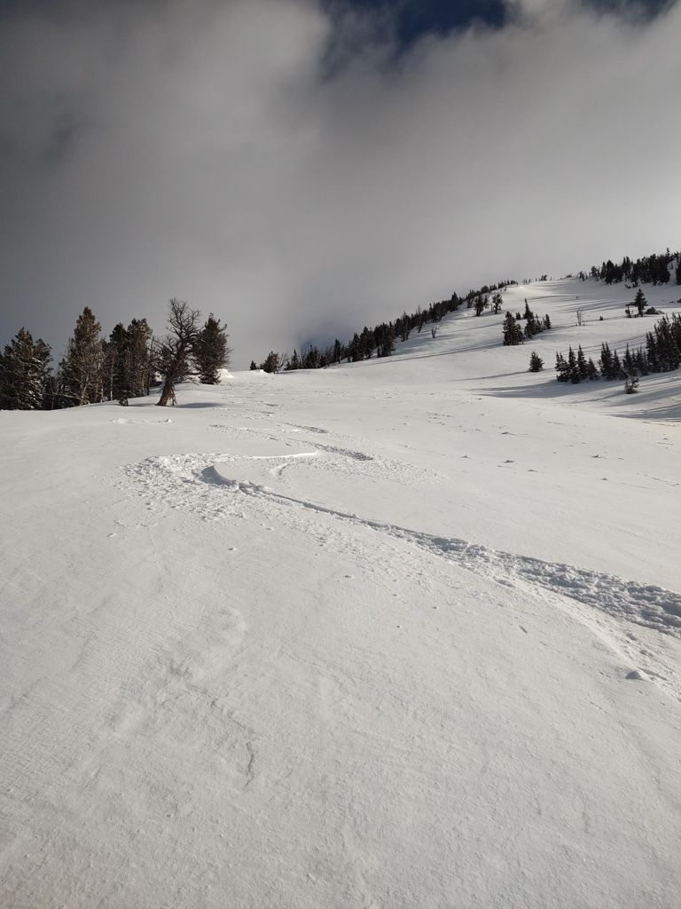 Double-click to expand Morning Backcountry Ski — photo 1