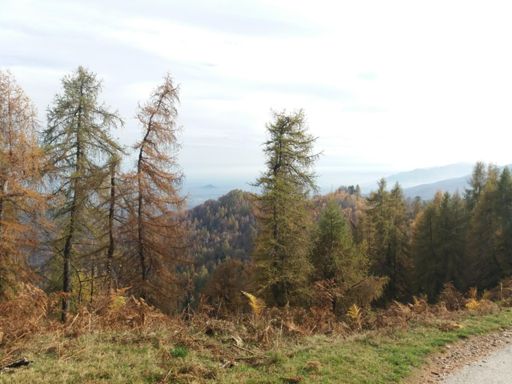 Sea fine asfalto...cima Coppi