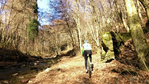 Zur Schinderhanneshöhle,