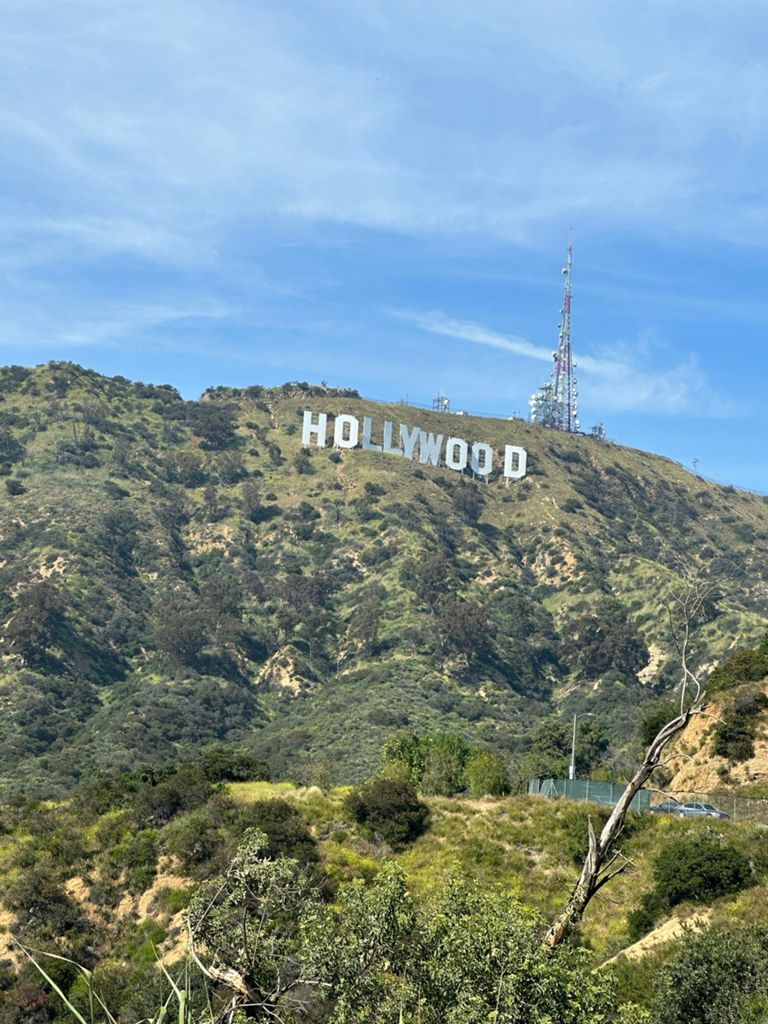 NBB run - Lake Hollywood: фото 131