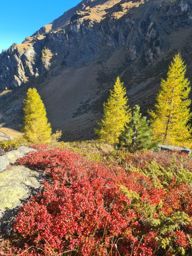 Tour du lac de moiry depuis grimentz, retour par la corne de sorebois