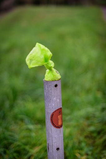 I don't understand the whole "Dog Privilege" mentality. Do they think there's a poop fairy that likes to gather their shit up?