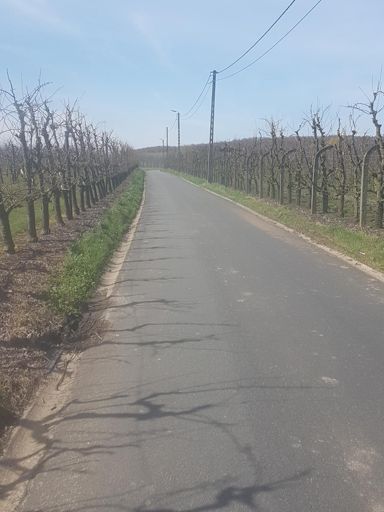 Binnenkort peerkes 😛