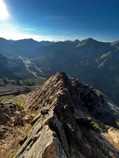 Photo from the other day!