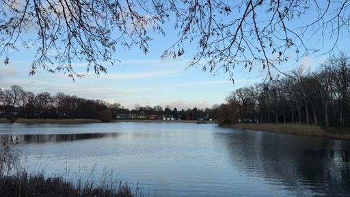 Winterruhe am Orankesee an diesem Dezembernachmittag um zwöfl Minuten vor Halb Vier. 🍂