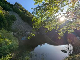 Crapahutage matinal dans les hautes vosges