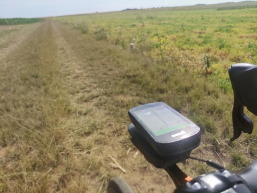 Cyclisme sur route vu par Garmin 🤔