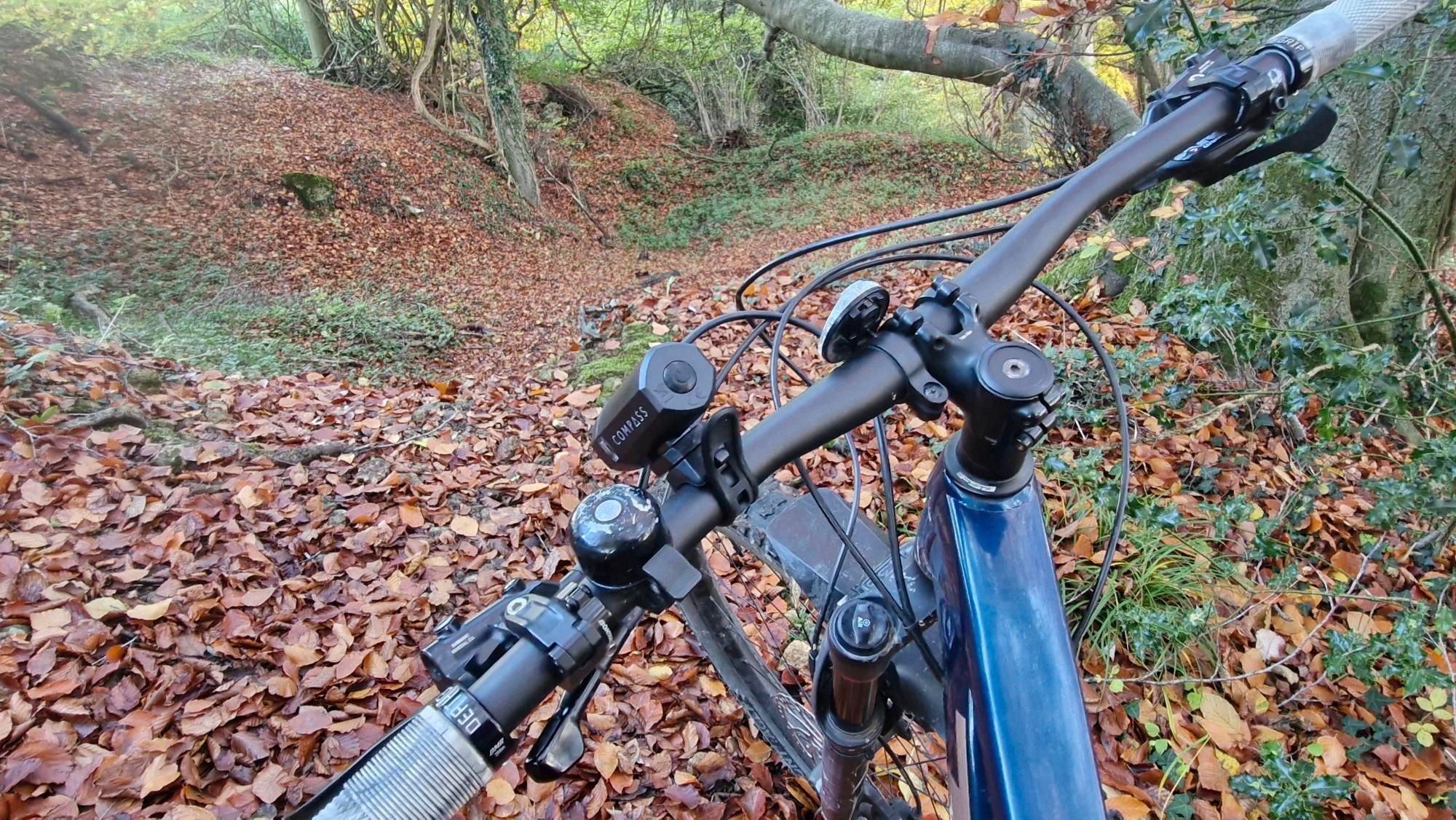 Just about found the trail  under the leaves at Cranham woods, Gloucestershire 🚵‍♀️